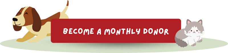 become-a-monthly-donor-cta