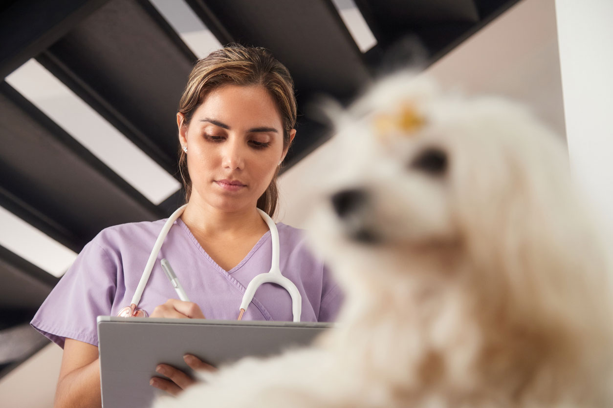 Inexpensive best sale veterinary care