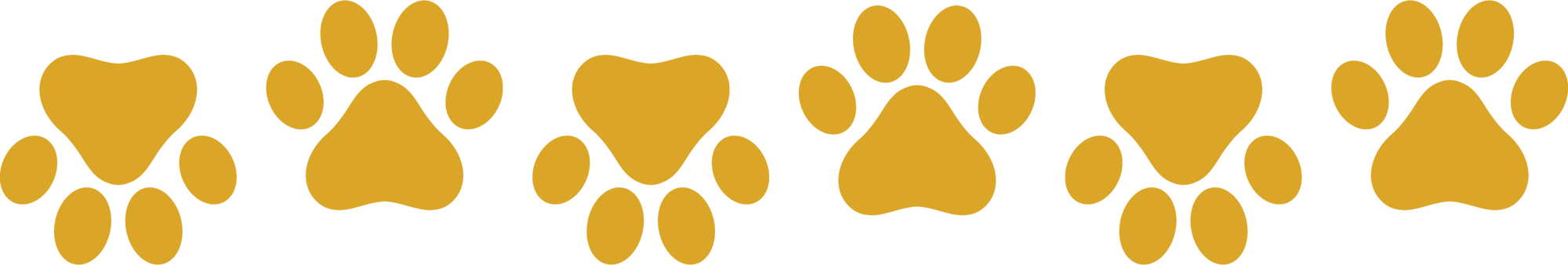 paw-print-row-yellow