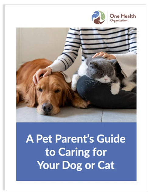 Pet Parent's Guide To Caring For Your Dog Or Cat Download