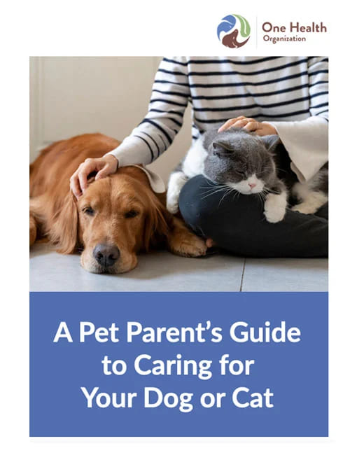 Cat or Dog for the Family Pet? - The 3 Deciding Considerations