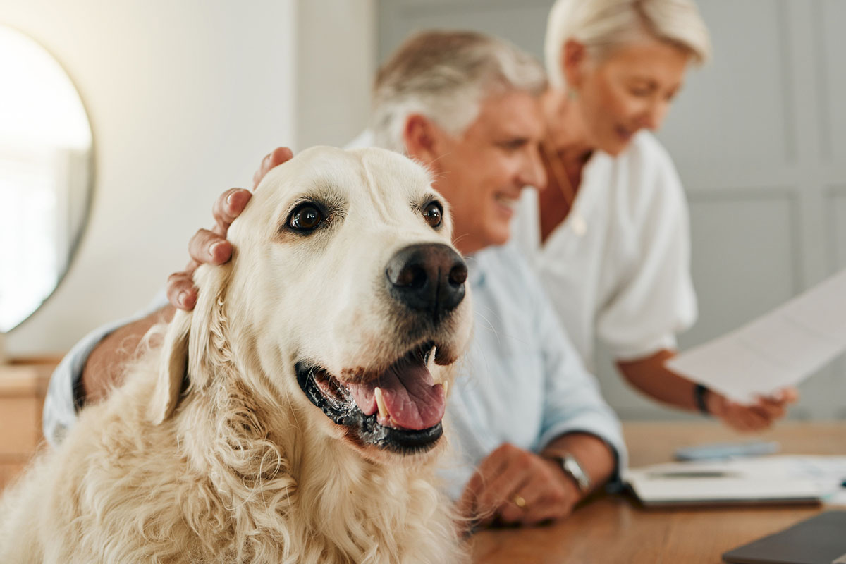 Pet Parents Want to Know: Is Pet Insurance Worth It?