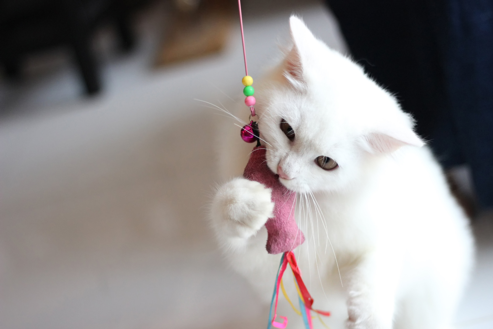 25 Toys Your Cat Will Like Better Than A Cardboard Box