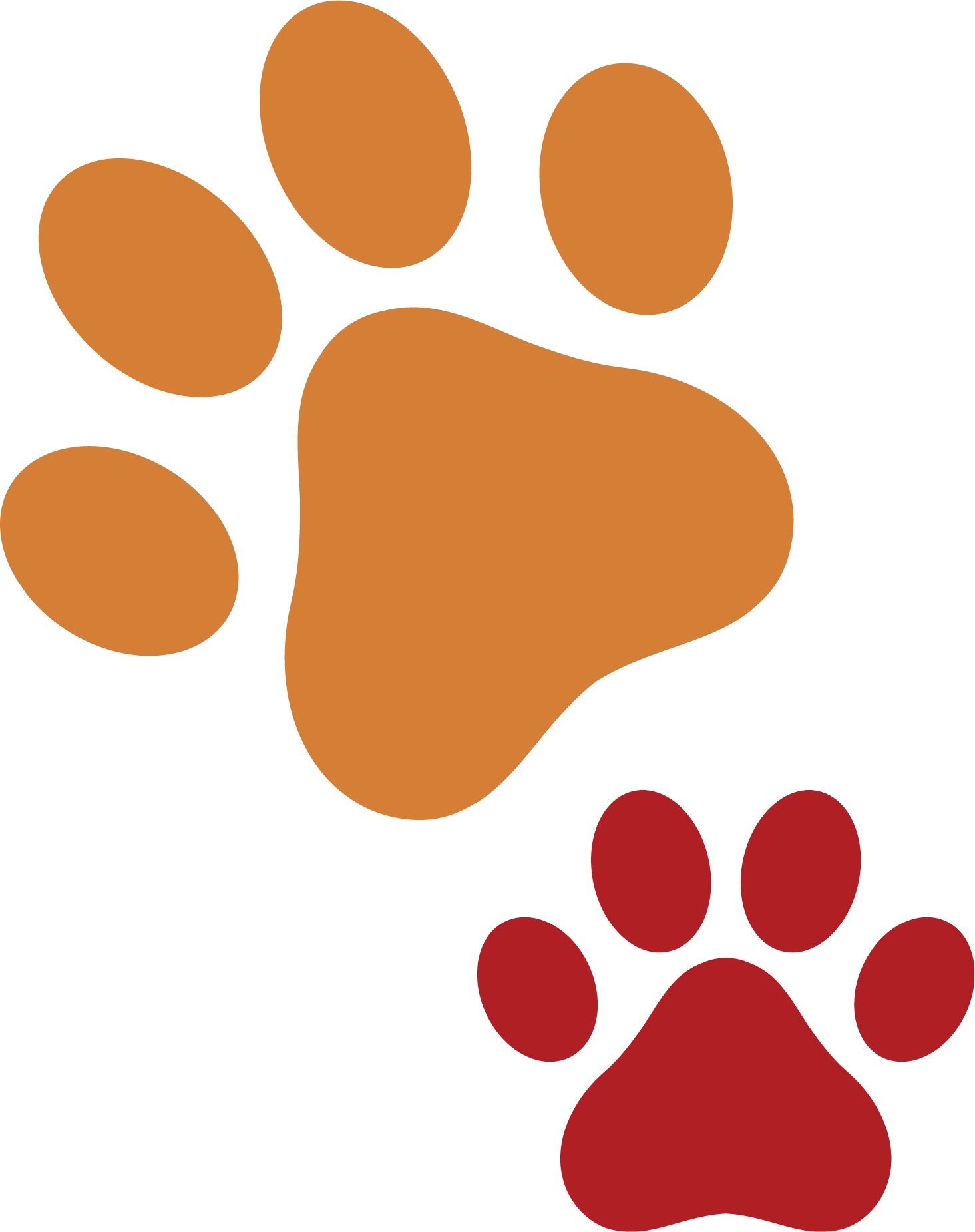 orange-red-paws